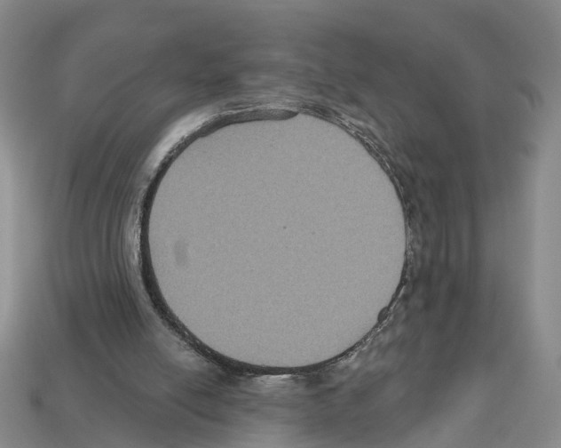 X0000112520054200909281025