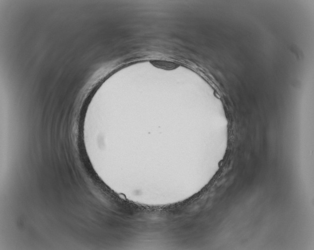 X0000112520055200909281025