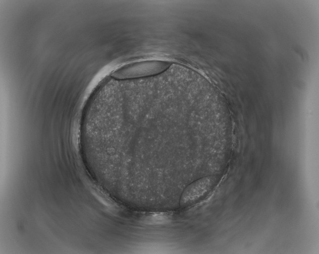 X0000112520056200909281025