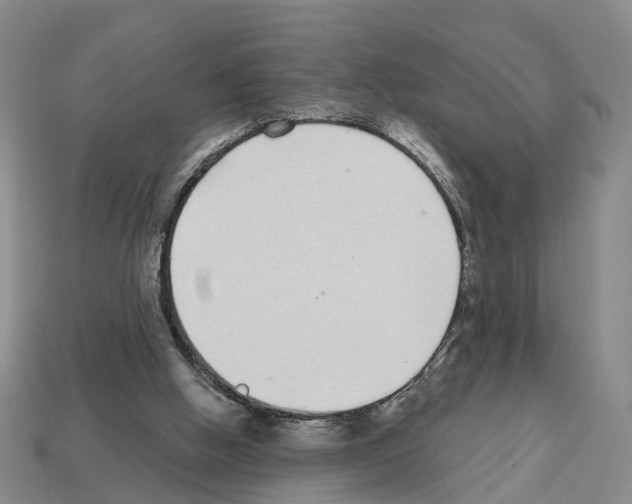 X0000112520058200909281025