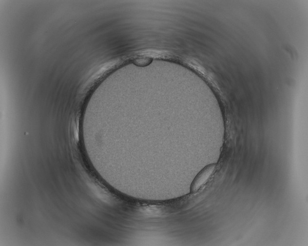 X0000112520062200909281025