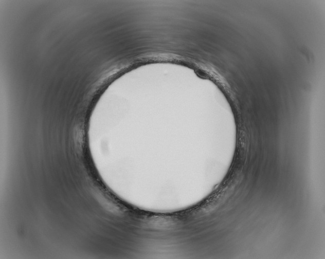 X0000112520063200909281025
