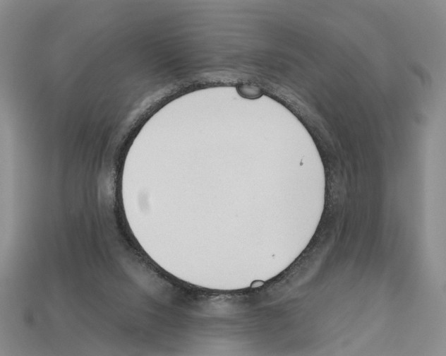 X0000112520064200909281025