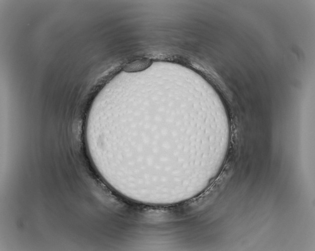 X0000112520066200909281025
