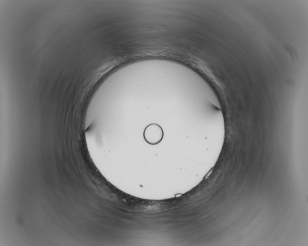 X0000112520068200909281025