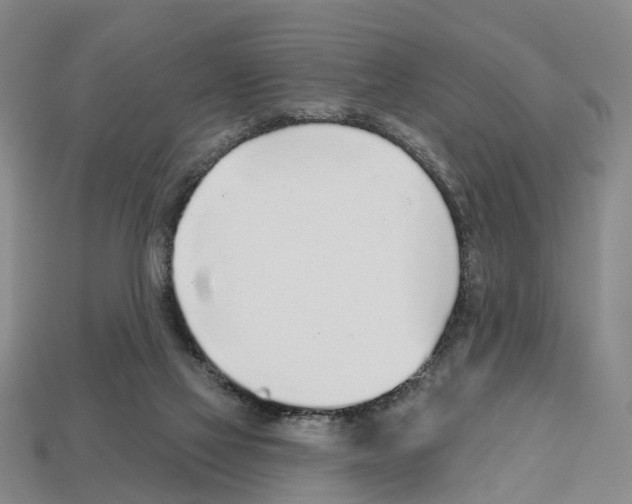X0000112520069200909281025