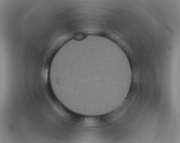 X0000112520070200909281025