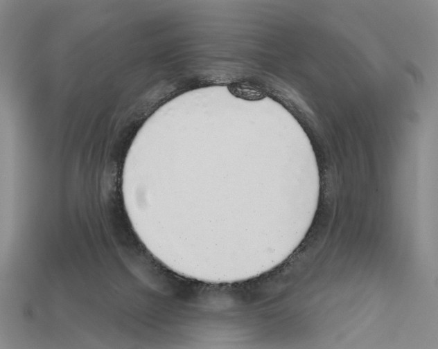 X0000112520073200909281025