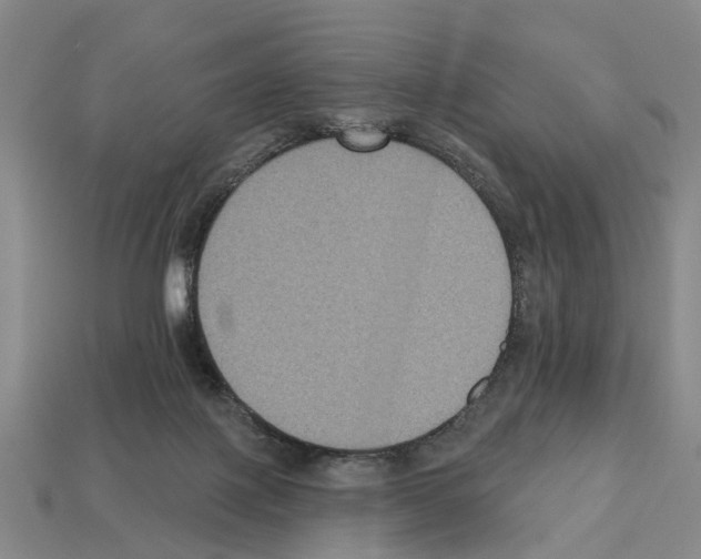 X0000112520075200909281025