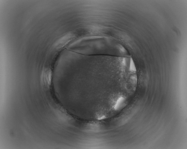 X0000112520076200909281025