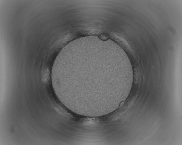 X0000112520077200909281025