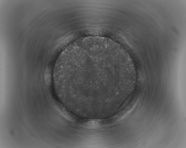 X0000112520080200909281025