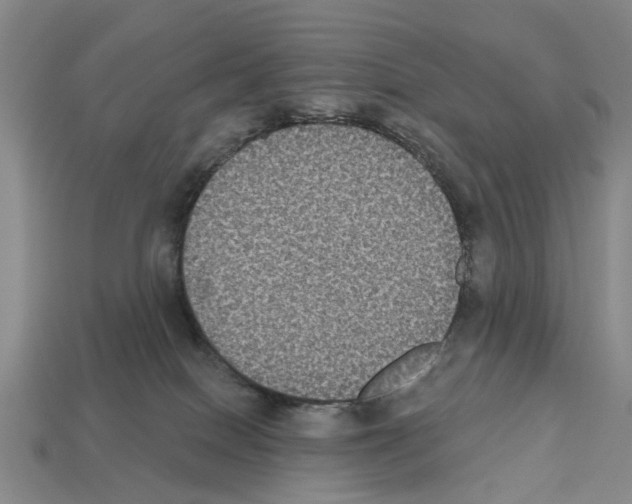 X0000112520086200909281025