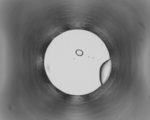 X0000112520087200909281025