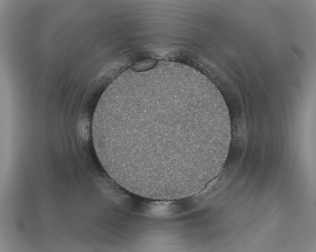 X0000112520090200909281025