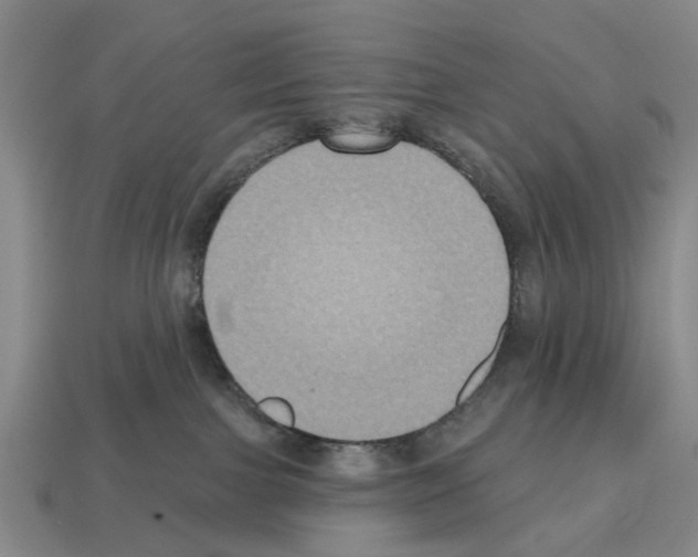X0000112520091200909281025
