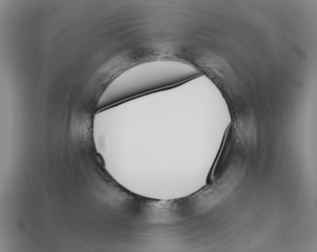X0000112520092200909281025