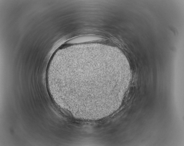 X0000112520099200909281025