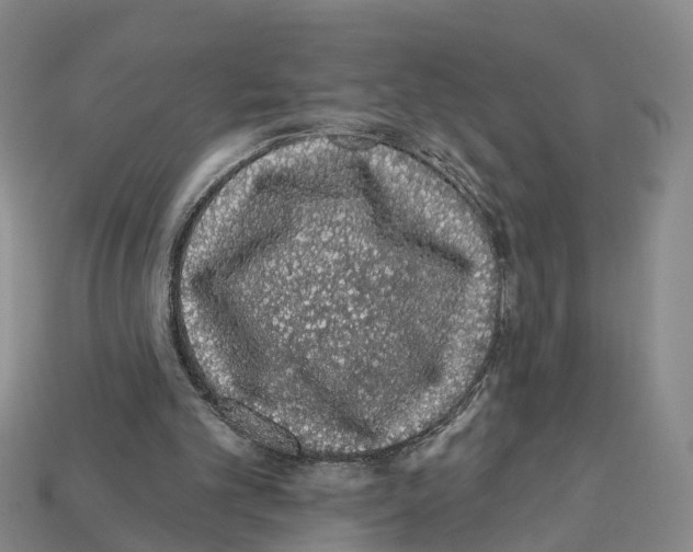 X0000112520101200909281025