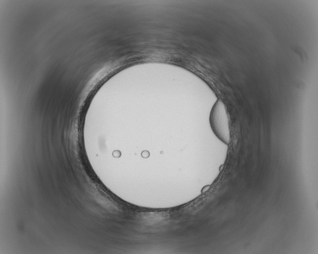 X0000112520102200909281025