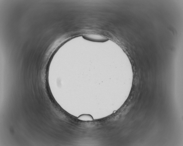 X0000112520103200909281025