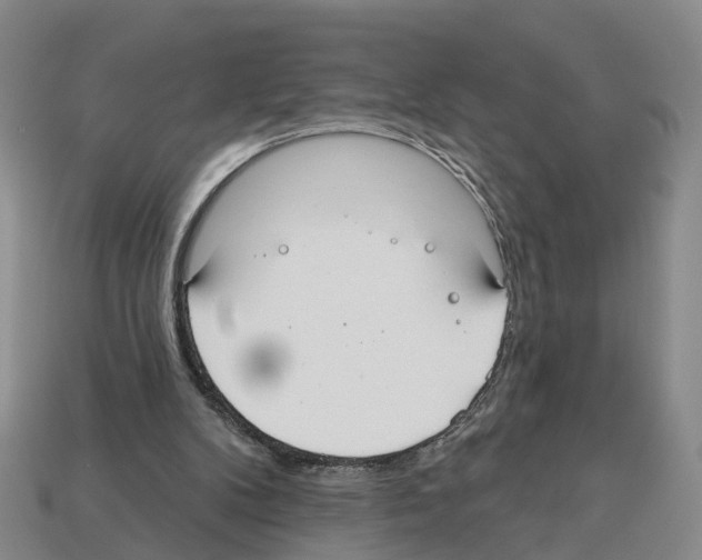 X0000112520104200909281025