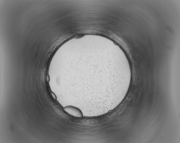 X0000112520105200909281025