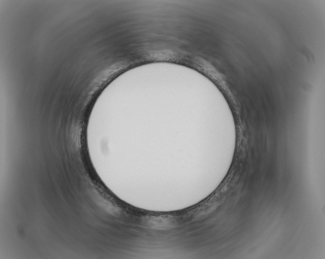 X0000112520106200909281025