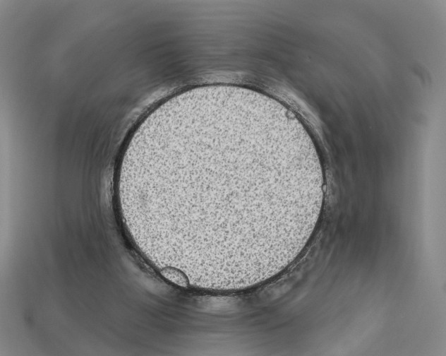 X0000112520107200909281025