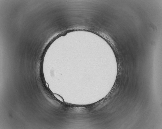 X0000112520108200909281025