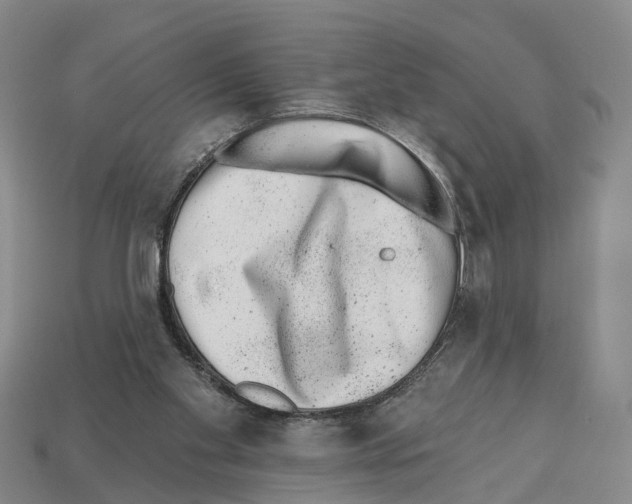 X0000112520109200909281025