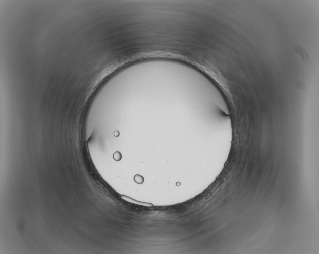 X0000112520111200909281025