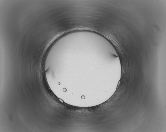 X0000112520112200909281025