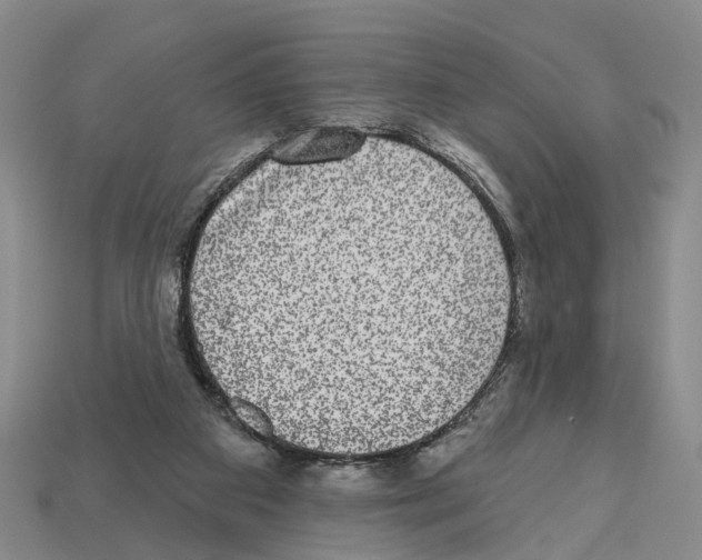 X0000112520113200909281025