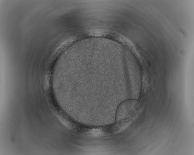 X0000112520114200909281025