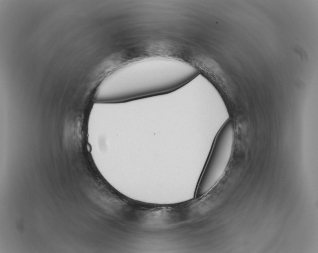 X0000112520116200909281025
