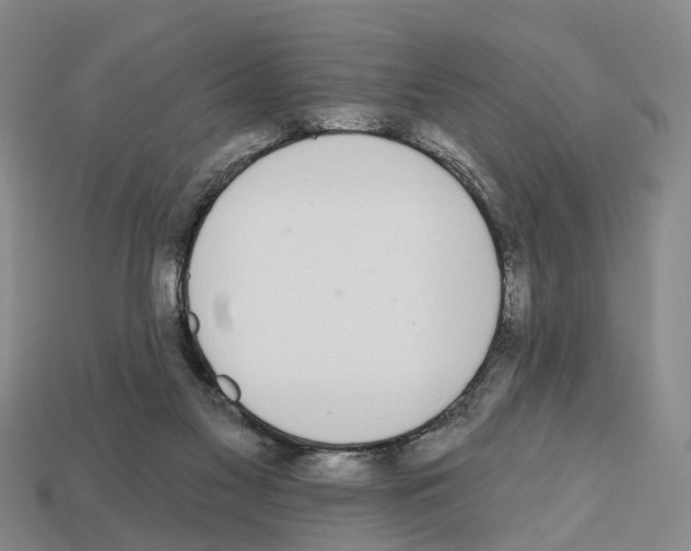 X0000112520117200909281025