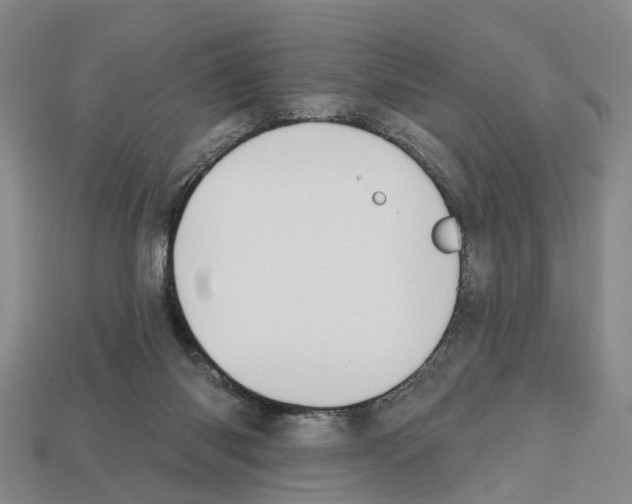X0000112520118200909281025