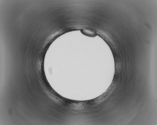 X0000112520120200909281025