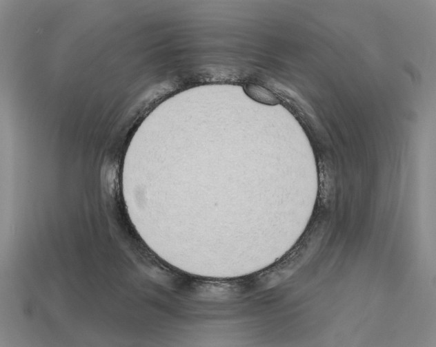 X0000112520123200909281025