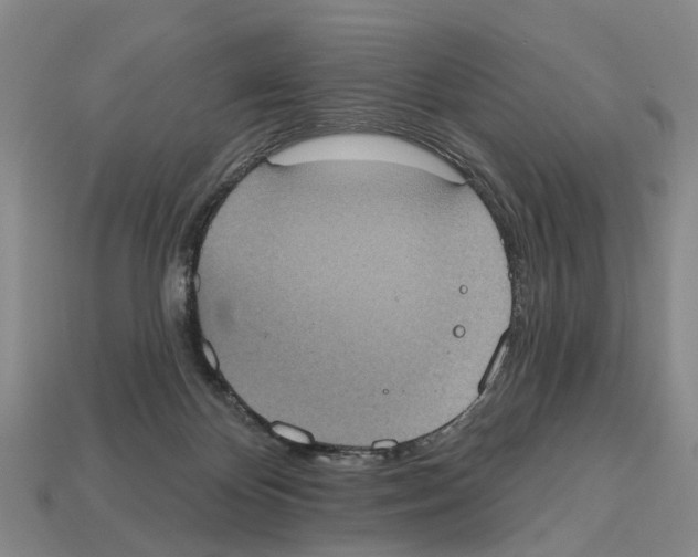 X0000112520124200909281025
