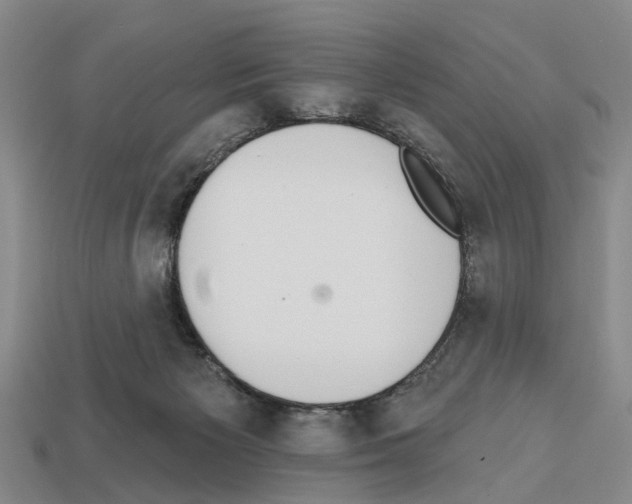 X0000112520125200909281025