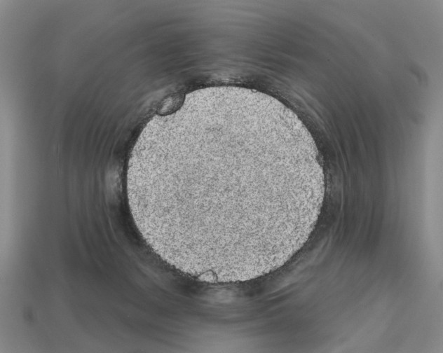 X0000112520127200909281025