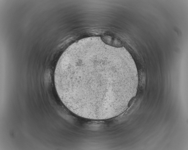 X0000112520128200909281025