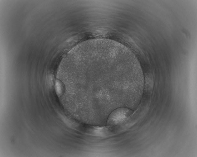 X0000112520130200909281024