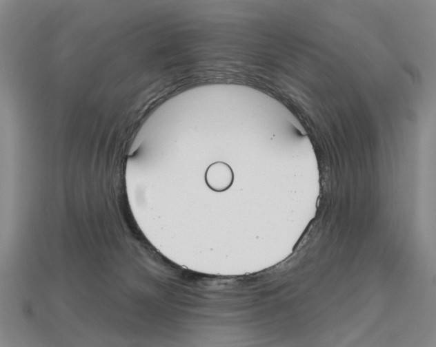 X0000112520132200909281024