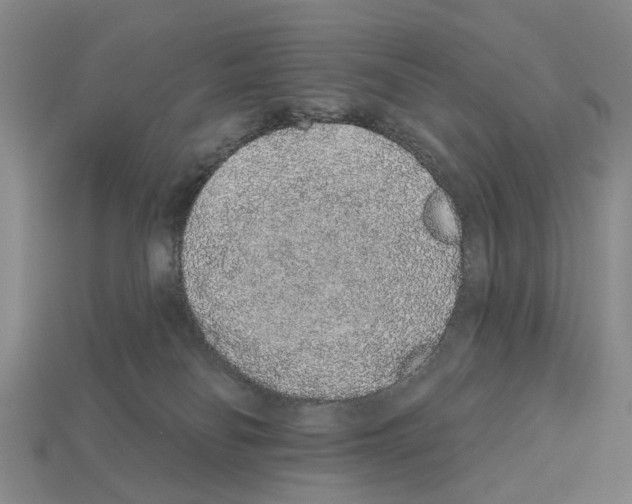 X0000112520134200909281024