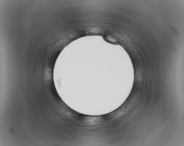 X0000112520135200909281024