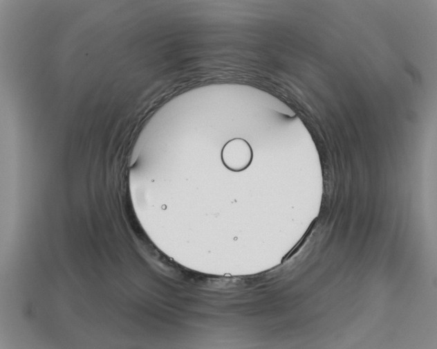X0000112520136200909281024