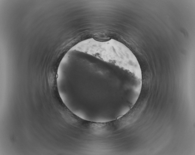 X0000112520139200909281024